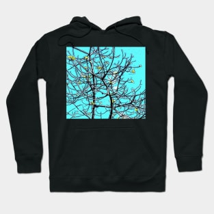 Blue sky Hoodie